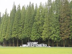 -宜兴龙背山森林公园