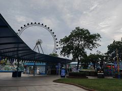 -海合安武汉极地海洋公园