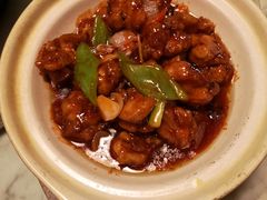 -老广酒楼(樱花店)