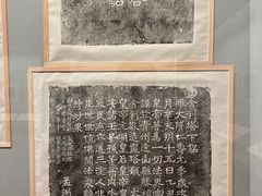 -青岛市博物馆