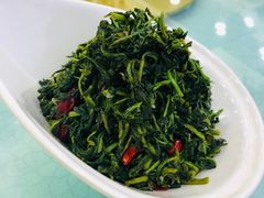 养生枸杞苗-老毛手抓·盐池滩羊非遗手抓(宁夏总店)