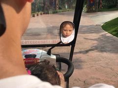 -美的鹭湖探索王国