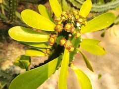 -昆明市金殿名胜区