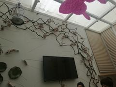 -确喜美味小厨(西单商场兰州店)