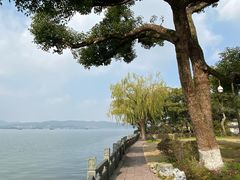 -杭州西湖柳莺里酒店·闻莺厅