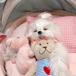 -时尚妈咪产后修复中心