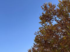 -天津万象城