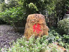 -东风公园
