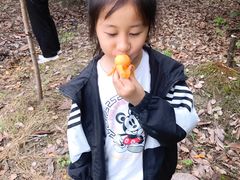 -塘栖枇杷特色园区