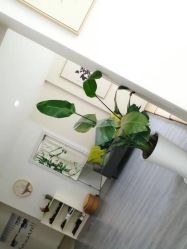 -榕树上·瑜伽普拉提