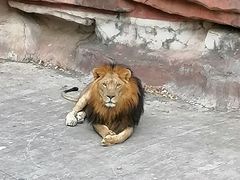 -无锡动物园·太湖欢乐园