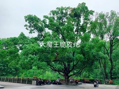 景点-阿哈湖国家湿地公园