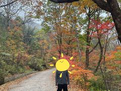 -丹东天桥沟景区