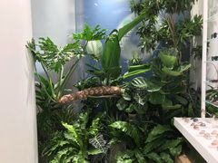 -JINS(上海宏伊国际广场店)