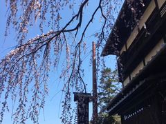 -有栖山 清光院 清水寺