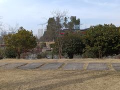 -桃花岭景区