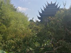 -韩湘水博园