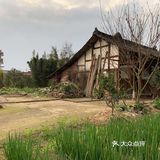 打卡美丽新农村