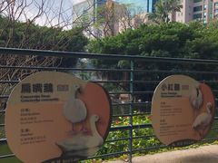 -九龙公园