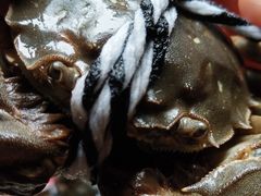 -蟹都汇(龙舟店)