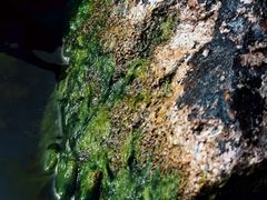 -东钱湖旅游度假区