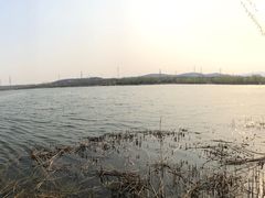 -永定河休闲森林公园