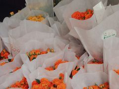 -循礼门鲜花花市(武汉循礼门店)