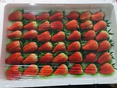 -西郊国际农产品交易中心