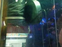 -好久不见网红乐队酒吧(鼓浪屿海底世界店)