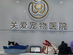 -关爱宠物医院·猫科中心·消化科(滨湖万达分院)