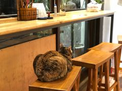 -猫的天空之城概念书店(杭州南宋御街店)