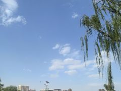 -莲花池公园