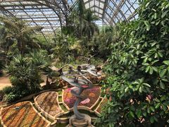 -南山植物园
