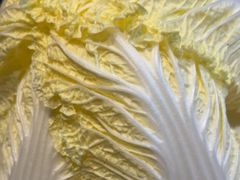 -南门四季铜锅涮肉(大屯·北苑店)