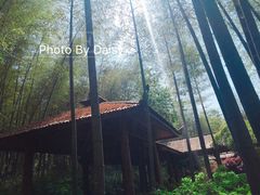 -南山风景名胜区