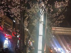 -香雪海