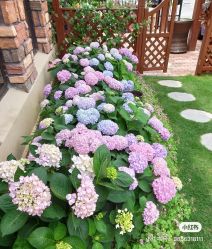 -QueenNail日式美甲美睫