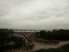 -宝安西湾红树林湿地公园