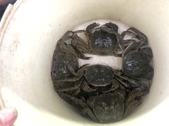 -江杨农产品批发市场