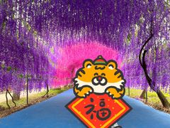 -广东花都香草世界旅游度假区