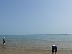 -日照灯塔风景区