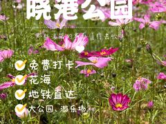 -晓港公园