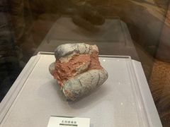 -浙江自然博物院(杭州馆)