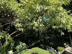 -成都市活水公园