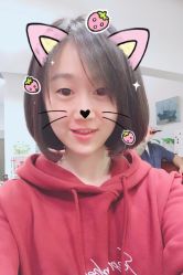 -大象造型