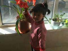 -兴隆海鲜菜馆