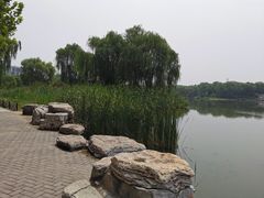 -大兴滨河森林公园