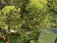 -云溪植物园