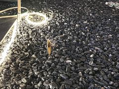 -DGE季风钓虾营地·团建·聚会