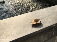 -水磨沟公园